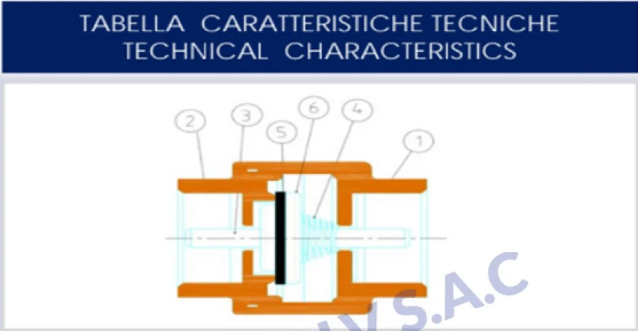 cuerpo diagrama valvula check vertical italvalv
